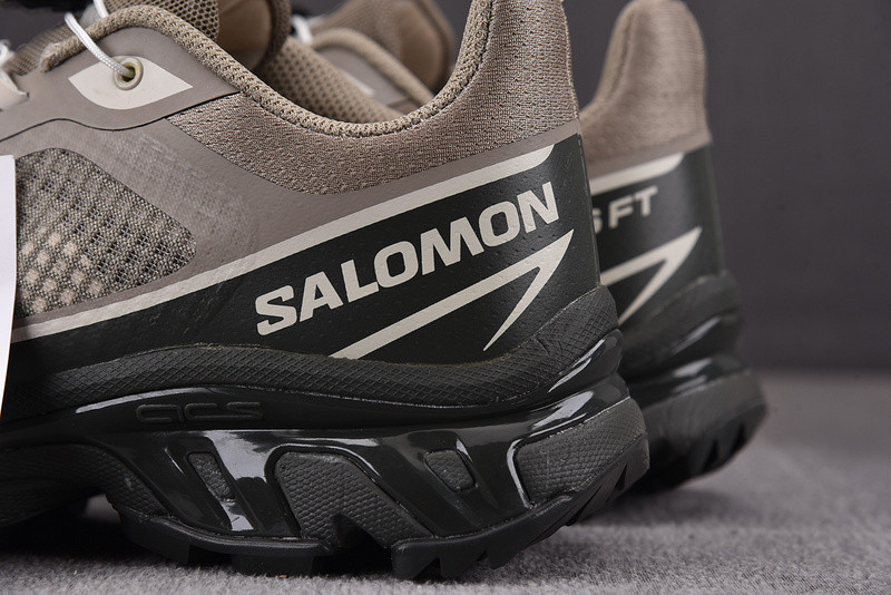salomon xt-6 ft