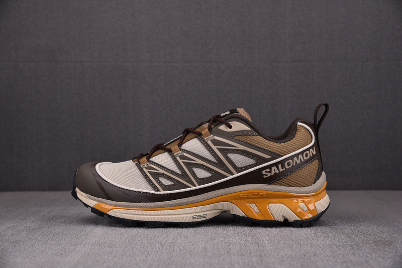 salomon xt-6 expanse