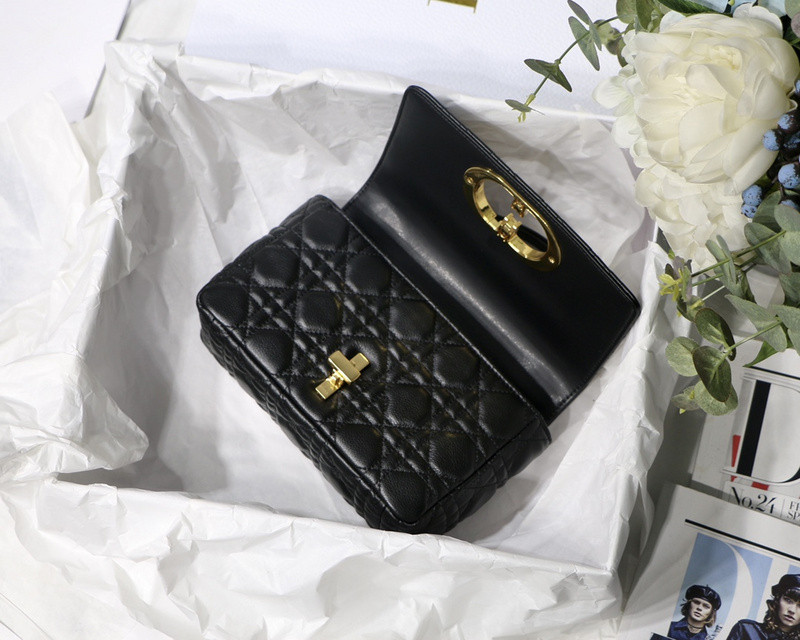 D10r bag