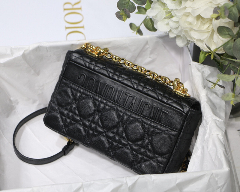 D10r bag