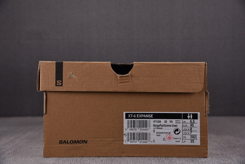 salomon xt-6 expanse