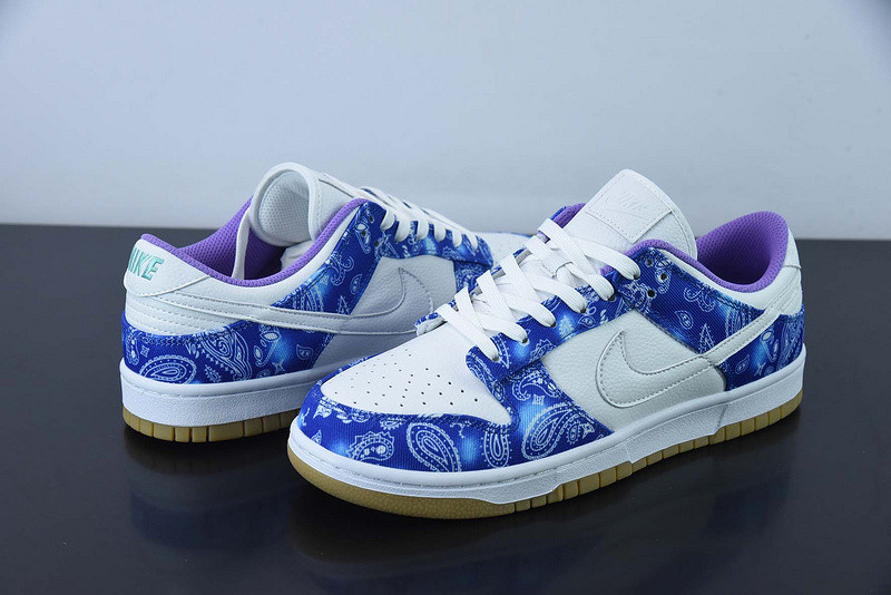 nike dunk low retro sp ct5053-061-1