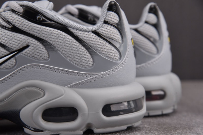 Air Max Plus TN 