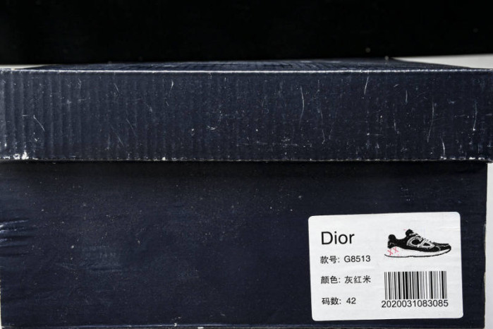 DIOR B30 SNEAKERS B30-000110