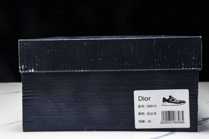 DIOR B30 SNEAKERS B30-000110
