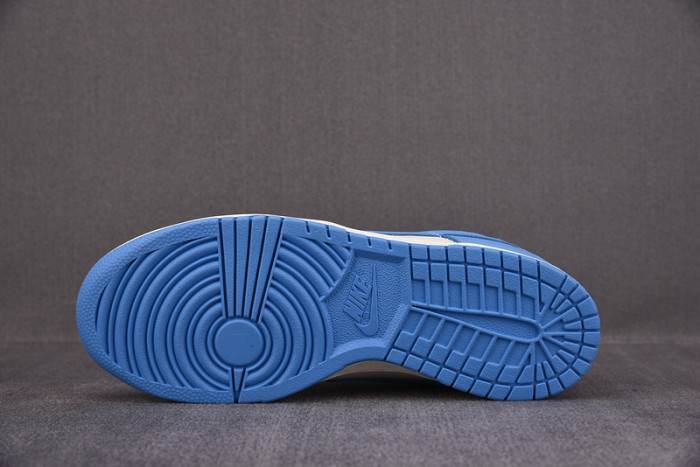 Nike Dunk Low Coast (W) DD1503-100