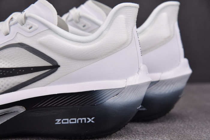 Zoom Fly 6 