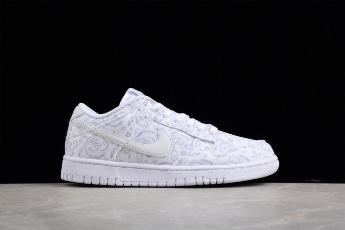 Nike Dunk Low DJ9955-100
