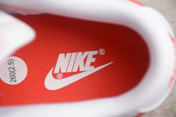 Nike Dunk Low DV0831-103