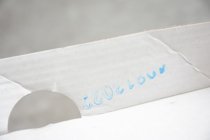 Di*m*nd s*pply co. x dunk low pro sb 