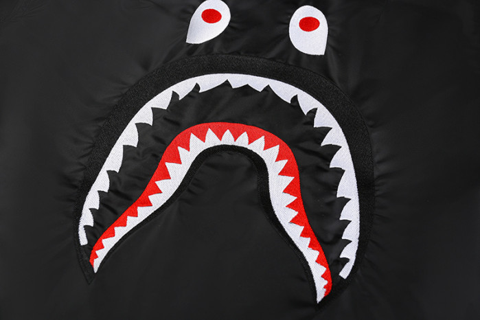 BAPE CLOTHES BC-10028