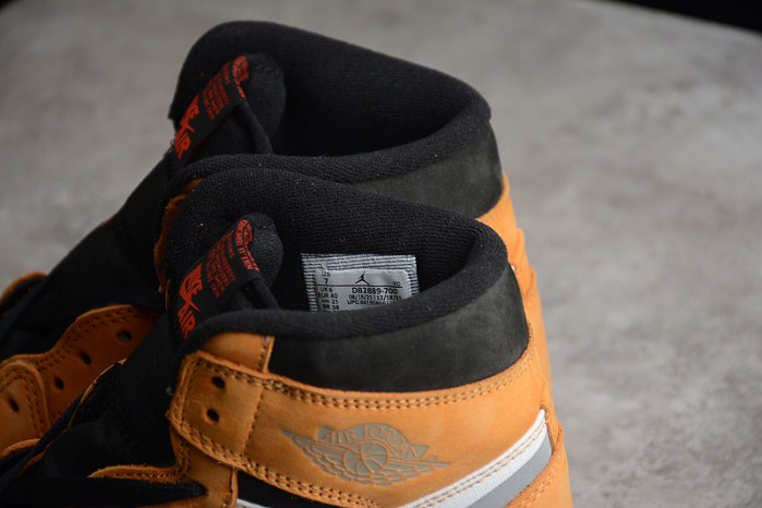 Jordan 1 High Element Gore-Tex Light Curry DB2889-700