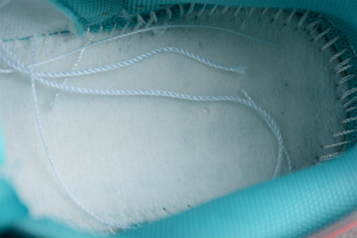 Nike Dunk SB Low "Snake Skin" DR8577-300