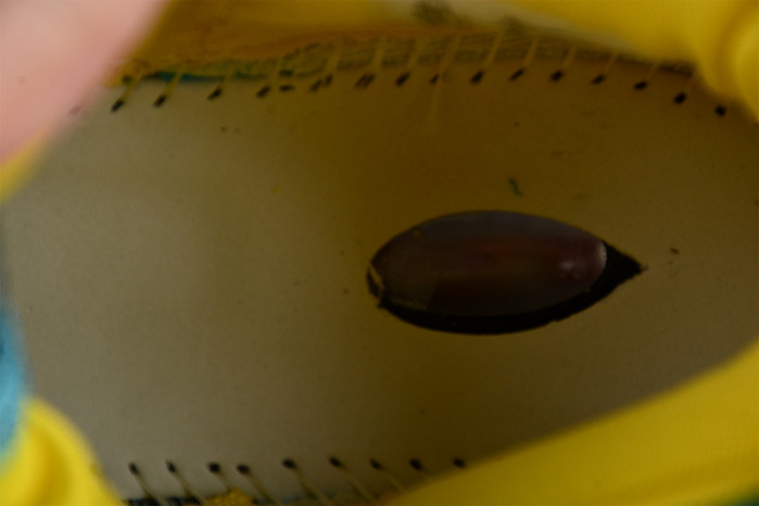 NIKE LEBRON 19 “POLARIZED BLUE” DC9338-400