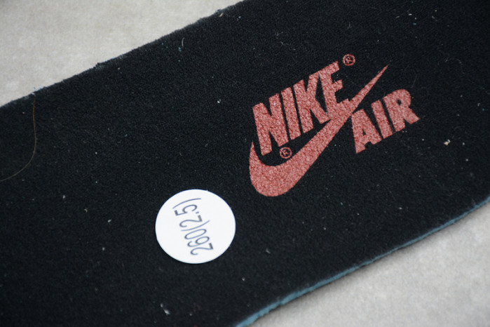 Air Jordan 1 retro high light smoke grey 555088-126