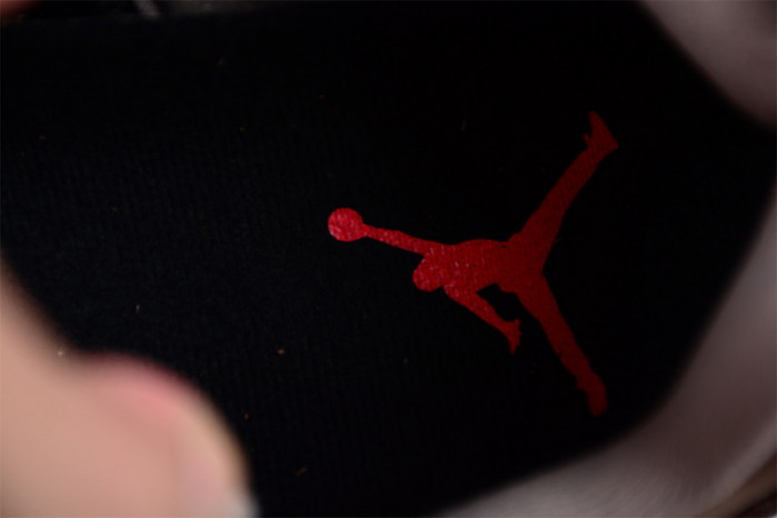 AIR JORDAN 5 DX6325-204