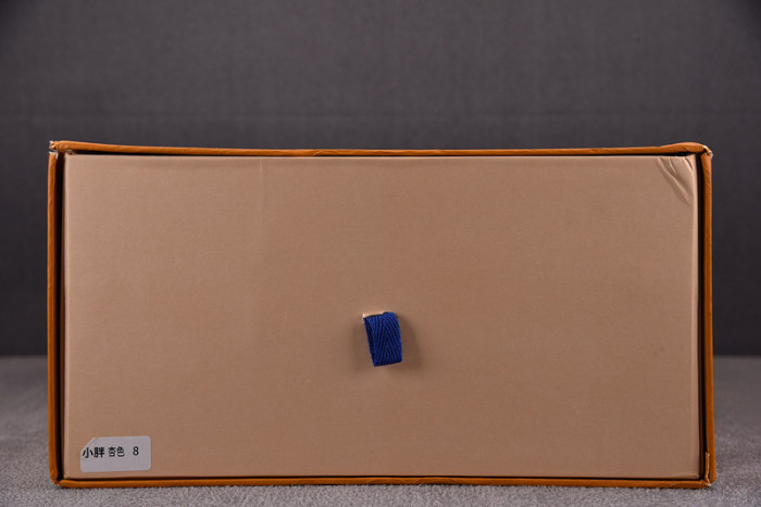 LV SNEAKER LV-000091