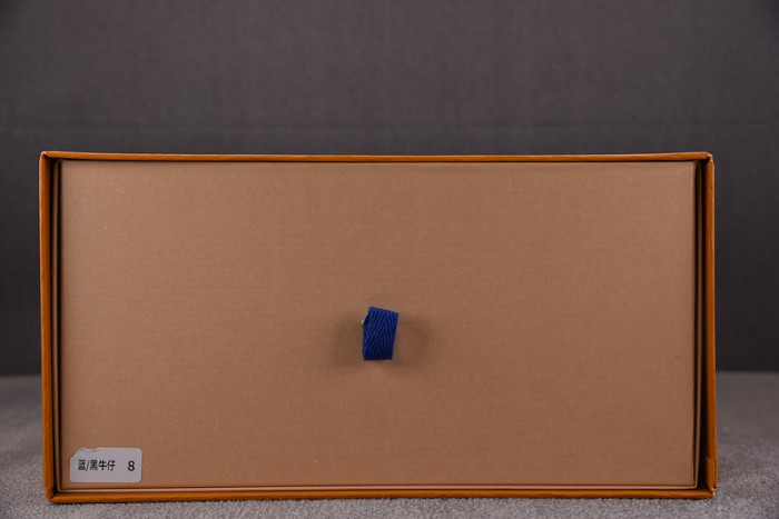 LV SNEAKER LV-000101