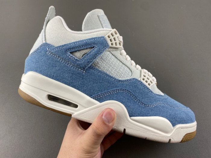 Air Jordan 4 Retro TEX 