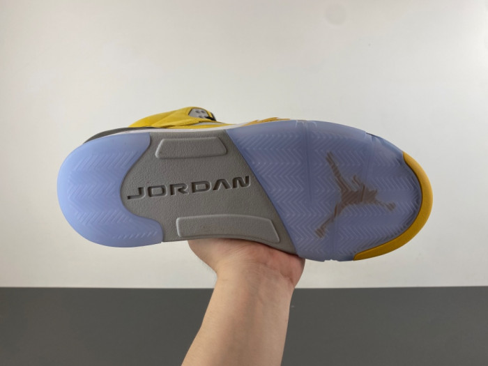 Air Jordan 5 Retro T23 